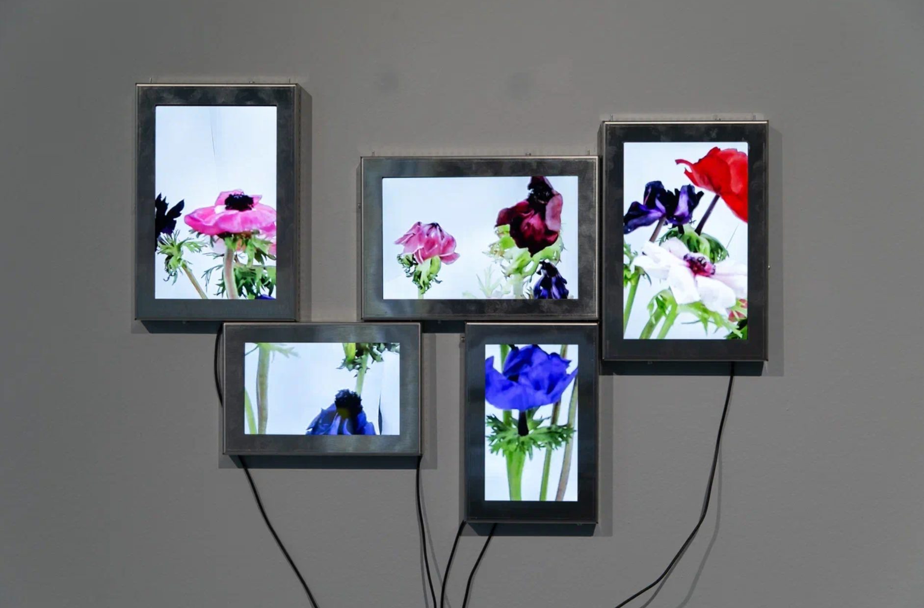 Описание изображения